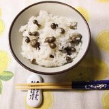 秋の味覚　むかごご飯　自然薯のムカゴ